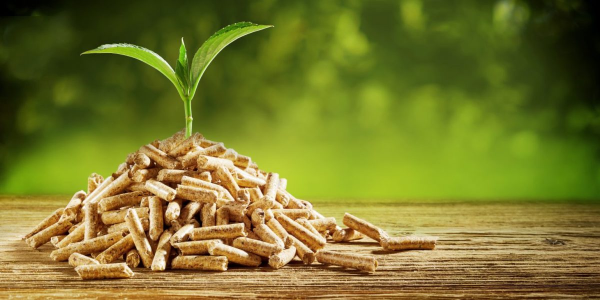 Research Highlight: The Carbon Reduction Benefits of Wood Bioenergy